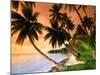 Blue Lagoon Resort Beach, Weno Centre, Micronesia-John Elk III-Mounted Photographic Print