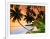 Blue Lagoon Resort Beach, Weno Centre, Micronesia-John Elk III-Framed Photographic Print