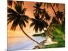 Blue Lagoon Resort Beach, Weno Centre, Micronesia-John Elk III-Mounted Photographic Print