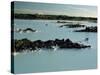 Blue Lagoon, Svartsengi, Iceland, Polar Regions-Robert Francis-Stretched Canvas