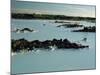 Blue Lagoon, Svartsengi, Iceland, Polar Regions-Robert Francis-Mounted Photographic Print