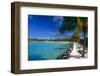 Blue Lagoon With Palm Trees, Aruba-George Oze-Framed Photographic Print