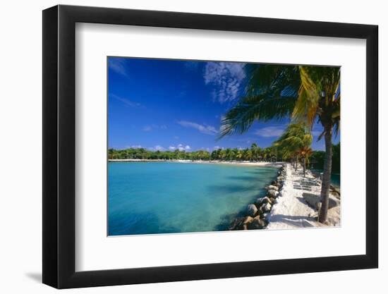 Blue Lagoon With Palm Trees, Aruba-George Oze-Framed Photographic Print