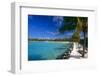 Blue Lagoon With Palm Trees, Aruba-George Oze-Framed Photographic Print