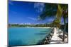 Blue Lagoon With Palm Trees, Aruba-George Oze-Mounted Photographic Print