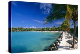 Blue Lagoon With Palm Trees, Aruba-George Oze-Stretched Canvas
