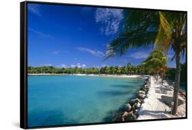 Blue Lagoon With Palm Trees, Aruba-George Oze-Framed Stretched Canvas