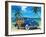 Blue Lagoon-Scott Westmoreland-Framed Art Print