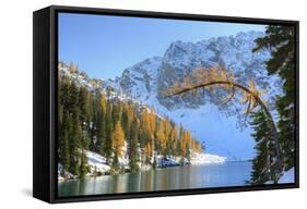 Blue Lake with larch trees, Wenatchee National Forest, Washington, USA-Jamie & Judy Wild-Framed Stretched Canvas