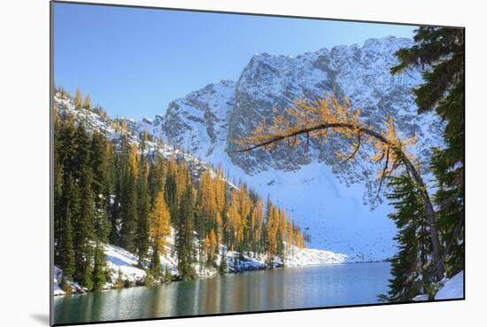 Blue Lake with larch trees, Wenatchee National Forest, Washington, USA-Jamie & Judy Wild-Mounted Photographic Print