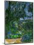 Blue Landscape, 1904-1906-Paul Cézanne-Mounted Giclee Print