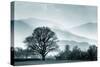 Blue Landscape with Tree-Tom Quartermaine-Stretched Canvas