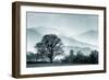 Blue Landscape with Tree-Tom Quartermaine-Framed Giclee Print