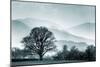 Blue Landscape with Tree-Tom Quartermaine-Mounted Giclee Print