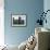 Blue Lantern, Oak Tree and Wildflowers, Llano, Texas, USA-Darrell Gulin-Framed Premium Photographic Print displayed on a wall