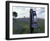 Blue Lantern, Oak Tree and Wildflowers, Llano, Texas, USA-Darrell Gulin-Framed Photographic Print