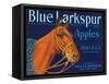 Blue Larkspur Apple Label - Wenatchee, WA-Lantern Press-Framed Stretched Canvas