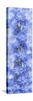 Blue Larkspur-Cora Niele-Stretched Canvas