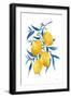 Blue Leaf Lemons I-Yvette St. Amant-Framed Art Print