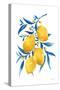 Blue Leaf Lemons I-Yvette St. Amant-Stretched Canvas