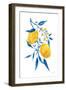 Blue Leaf Lemons II-Yvette St. Amant-Framed Art Print