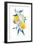 Blue Leaf Lemons II-Yvette St. Amant-Framed Art Print