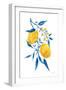 Blue Leaf Lemons II-Yvette St. Amant-Framed Art Print