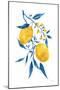 Blue Leaf Lemons II-Yvette St. Amant-Mounted Art Print