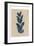 Blue Leaf Print 1-Kimberly Allen-Framed Art Print