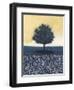 Blue Lemon Tree I-Norman Wyatt Jr.-Framed Art Print