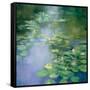 Blue Lily II-Julia Purinton-Framed Stretched Canvas