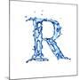 Blue Liquid Water Alphabet With Splashes And Drops - Letter R--Vladimir--Mounted Art Print