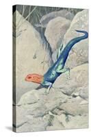 Blue Lizard with Orange Head-null-Stretched Canvas