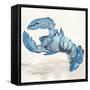 Blue Lobester I-Jacob Q-Framed Stretched Canvas