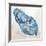 Blue Lobester II-Jacob Q-Framed Art Print