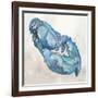 Blue Lobester II-Jacob Q-Framed Art Print