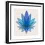 Blue Lotus-null-Framed Premium Giclee Print