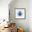 Blue Lotus-null-Framed Premium Giclee Print displayed on a wall