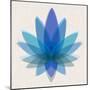 Blue Lotus-null-Mounted Premium Giclee Print