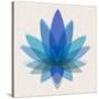 Blue Lotus-null-Stretched Canvas