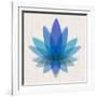 Blue Lotus-null-Framed Art Print