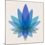 Blue Lotus-null-Mounted Art Print