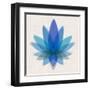 Blue Lotus-null-Framed Art Print