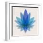 Blue Lotus-null-Framed Art Print