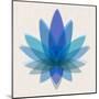 Blue Lotus-null-Mounted Art Print