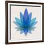 Blue Lotus-null-Framed Art Print