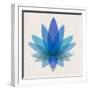 Blue Lotus-null-Framed Art Print