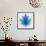 Blue Lotus-null-Framed Stretched Canvas displayed on a wall