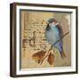 Blue Love Birds I-Patricia Pinto-Framed Art Print