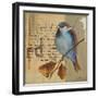 Blue Love Birds I-Patricia Pinto-Framed Art Print